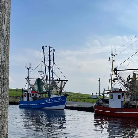 De Hasel Dorumer Neufeld