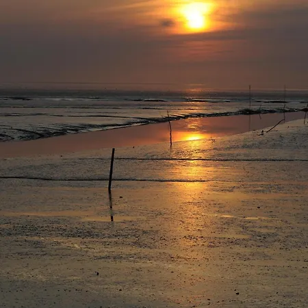 Διαμέρισμα De Hasel