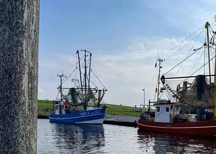 De Hasel دورم نيوفيلد